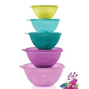 Tupperware Classic Wonderlier Mixing Bowl Set of 5 New Not in Original Packaging